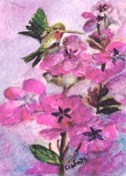 Hummingbird Twist Mary Lou Lindroth Rockton Ill watercolor  SOLD